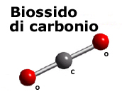 anidride carbonica