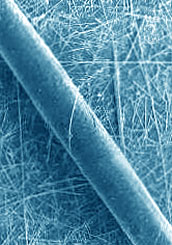 fibre di amianto