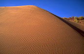 desertificazione