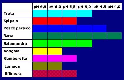 azione delle piogge acide