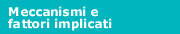 meccanismi e fattori implicati