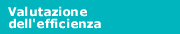 valutazione dell'efficienza